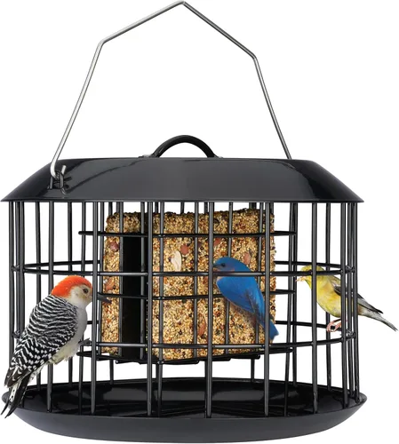 Miniatura 9 de Kingsyard Comedero de sebo a prueba de ardillas, comedero para pájaros en jaula para colgar al aire libre, todo de metal, capacidad de doble sebo