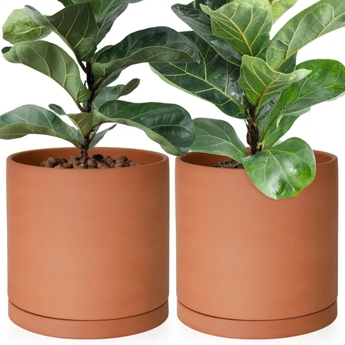 Miniatura 18 de D'vine Dev Maceta de Terracota Extra Pequeña de 4 Pulgadas con Orificio de Drenaje y Platillo, Maceta Cilíndrica Redonda para Plantas
