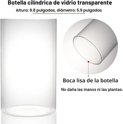Miniatura 5 de Terrario de Vidrio de Escritorio con Luz de Crecimiento (Altura: 9.8" Diámetro: 5.9"), para Suculentas, Musgo, Jardinería en Miniatura, Acuario