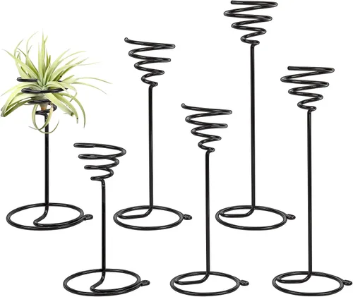 AHANDMAKER Paquete de 6 soportes para plantas de aire, 3 tamaños, contenedor de plantas de aire, soporte Tillandsia para exhibir plantas de aire
