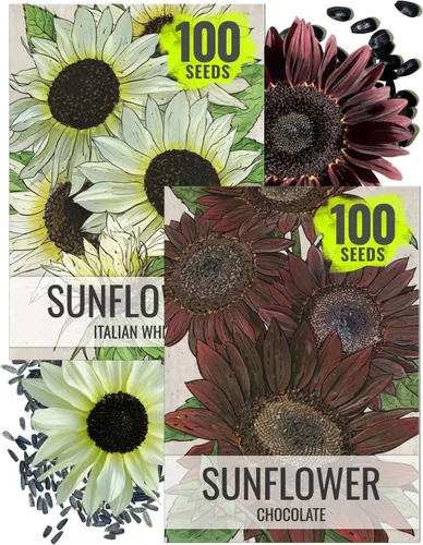 Miniatura 18 de Seed Needs - Semillas de Capuchina para Plantar Flores Comestibles - Juego de Colección de Mezcla Joya y Capuchinas de Doble Brillo para Atraer