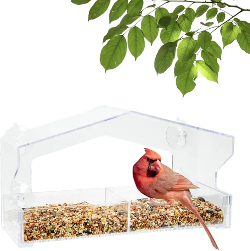 Miniatura 12 de Perky-Pet Comedero transparente para pájaros con ventosas fuertes, capacidad de semilla de 1/2 libra, Perky Pet 345, entretenida alimentación