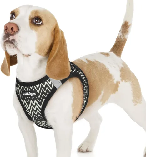 Miniatura 102 de rabbitgoo Arnés para perro pequeño, chaleco de malla suave para cachorros con hebilla de seguridad, arnés reflectante transpirable para mascotas