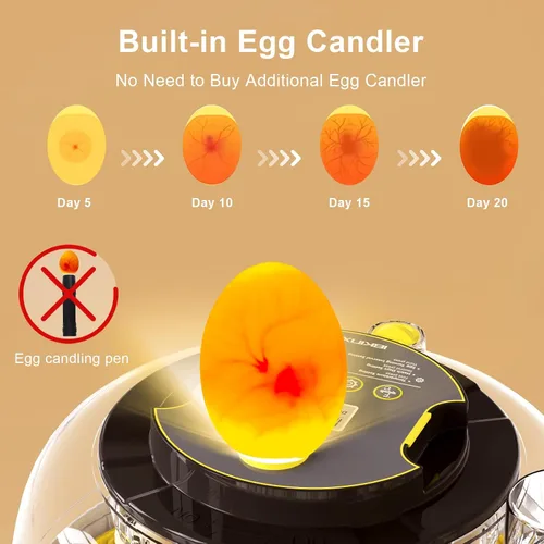 Miniatura 2 de IBKINXX Incubadora para incubar huevos: capacidad de 18 huevos, girador automático de huevos, control de temperatura y humedad, visualización