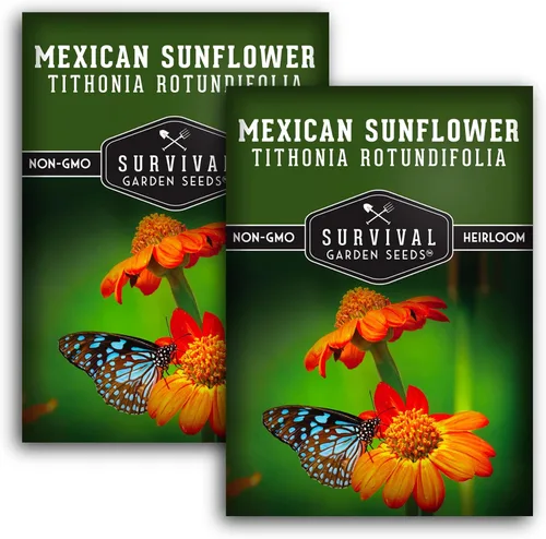 Miniatura 10 de Survival Garden Seeds - Semilla de girasol mexicano para plantar - Paquete con instrucciones para plantar y cultivar Tithonia Rotundifolia en tu