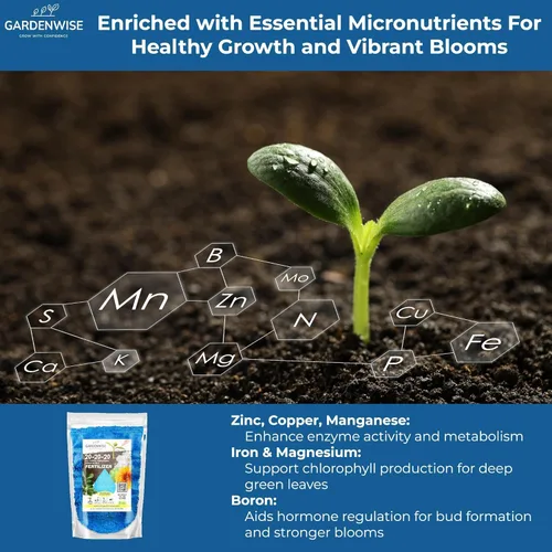 Miniatura 4 de Gardenwise Fertilizante Soluble en Agua 20-20-20 – Polvo para Alimento Líquido de Plantas para Plantas de Interior y Exterior, Orquídeas, Vegetales