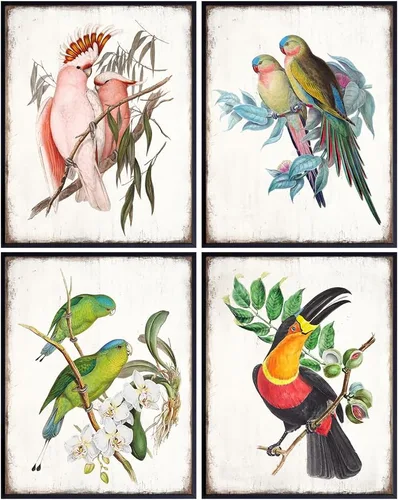 Arte de aves tropicales de 11 x 14 pulgadas, loro, agapornito, tucán, cacatúa, regalos vintage de observadores de aves Audubon, arte de pared de