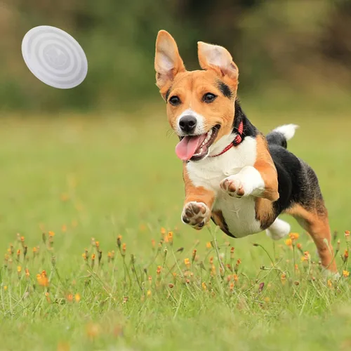 Miniatura 7 de SLSON Comedero plegable para mascotas, paquete de 2 cuencos para perros con tapas de cubierta, cuenco portátil plegable para agua para gatos