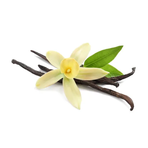 Miniatura 2 de Emulsión de mantequilla y vainilla para hornear, sabor soluble en agua, Kosher, sin gluten, vegano, 8 onzas