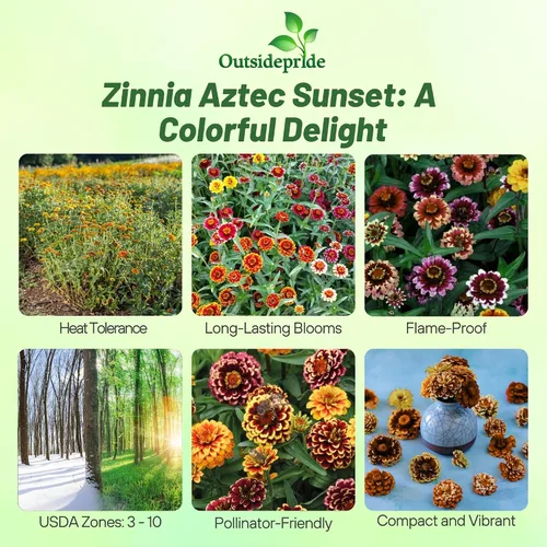 Miniatura 2 de Outsidepride - Zinnia Haageana, 100 semillas anuales, Aztec Sunset Flower Seed Mix, mezcla de semillas de flores para plantar
