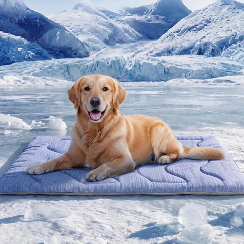 ASENKU Tapete refrescante para perros, portátil y duradero, absorción física del calor, cama refrescante antideslizante y transpirable de verano Azul
