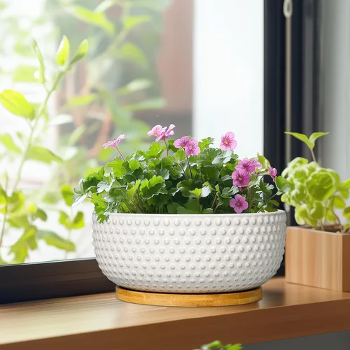 Miniatura 4 de Macetas para suculentas de 8 pulgadas - Macetas de bonsái de cerámica para plantas de interior, maceta con agujero de drenaje y platillo, maceta