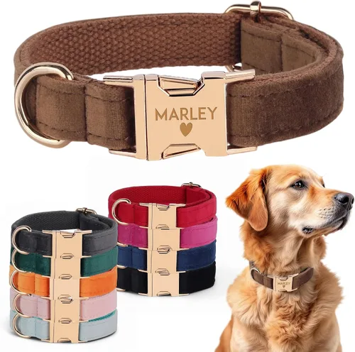 Juego de arnés de terciopelo, regalo para dueños de mascotas, collar personalizado con nombre y número de teléfono, collar y correa personalizados