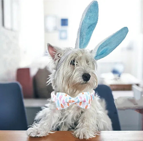 Miniatura 4 de Lionheart glory Collar de Pascua para perro con pajarita, collar de perro con estampado de zanahoria, suave y duradero, ajustable, lazo para perros