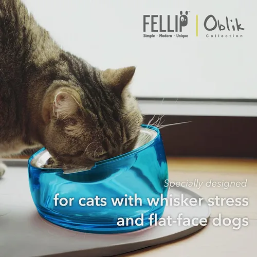Miniatura 8 de Felli Cuenco de comida para gatos con bigote oblicuo para mascotas, plato elevado de acero inoxidable poco profundo, diseño de mascotas, alimentador