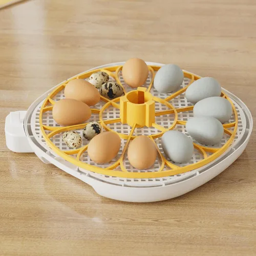Miniatura 2 de Incubadora automática de 12 huevos con control de humedad con girador de huevos, incubadora ventilada para eclosionar huevos de pollo y codorniz, US