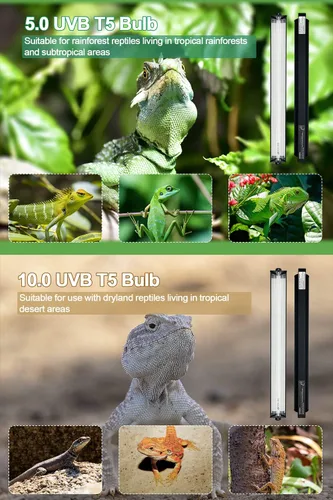 Miniatura 3 de Luz UVB para reptiles, 12 pulgadas T5 10.0 UVB lámpara de reptil 8W, lámpara lineal UVA UVB de alto rendimiento con bombilla reemplazable
