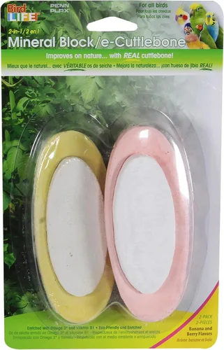 Penn-Plax Bird-Life 2 en 1 E-Cuttlebone & Mineral Block, 1 paquete (2 unidades) – Sabor a plátano amarillo y bayas rosas – Enriquecido con