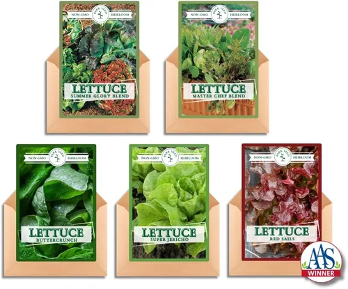 Miniatura 7 de Park Seed Batavian Full Heart Endive & Chicory Lechuga Mezcla de Semillas - Variedad nutritiva de Escarole con corazones blanqueados cremosos, ideal