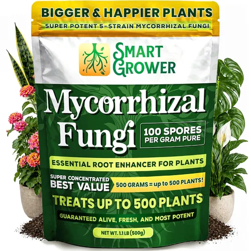 Miniatura 10 de Potenciador de raíces de hongos micorrízicos orgánicos para plantas, súper potente 100 esporas por gramo, mezcla de 5 cepas, resultados rápidos