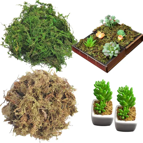 Miniatura 5 de Cayway Paquete de 9 piezas de base en miniatura, kit de materiales para base de paisajes, incluye piedra, arena decorativa, hierba, nieve