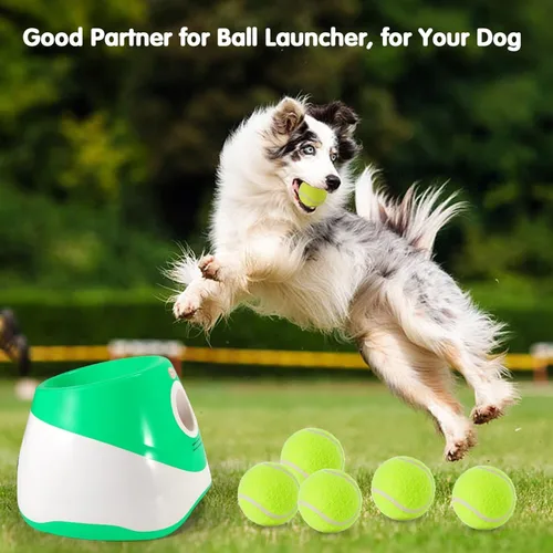 Miniatura 3 de MEKAPLE Paquete de 6 pelotas de tenis mini para jugar con mascotas, pelotas de tenis de 2 pulgadas para entrenamiento de perros pequeños, pelotas