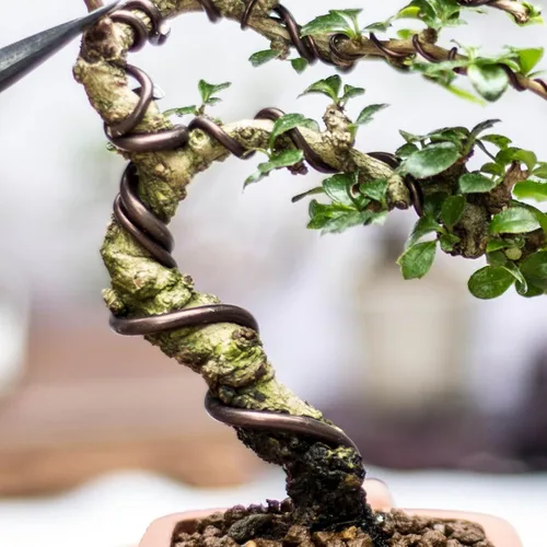Miniatura 5 de PATIKIL Alambre de entrenamiento para bonsái de 1mm x 374 pies, tallos de alambre floral alambre para árbol de aluminio anodizado para fijación
