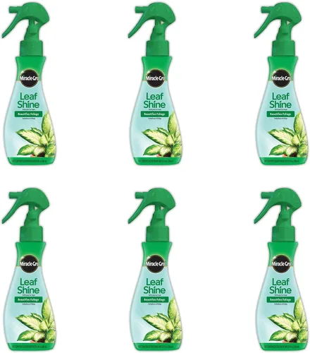 Miniatura 7 de Miracle-Gro Leaf Shine Spray para plantas de interior de hojas duras, limpia y embellece el follaje, 8 onzas líquidas (paquete de 2)
