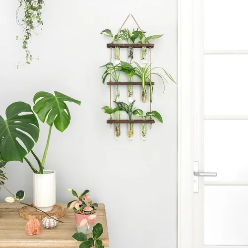 Miniatura 2 de Mkono Tubos de propagación de plantas, terrario colgante de pared de 3 niveles con soporte de madera, florero de flores, tubo de ensayo, estaciones