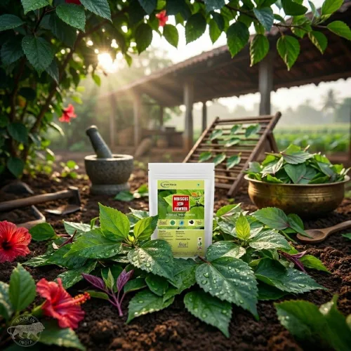 Miniatura 4 de Neotea Polvo de hoja de hibisco Sembaruthi Ilai Tratamiento natural de caída del cabello, promueve el crecimiento del cabello, lavado de cabello