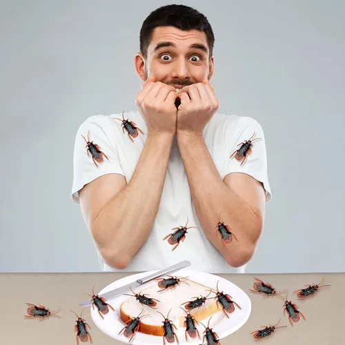 Miniatura 4 de Ksquares, cucarachas falsas de broma, trucos favoritos, juguetes de broma que se ven reales, insectos aterradores de plástico realistas, novedad