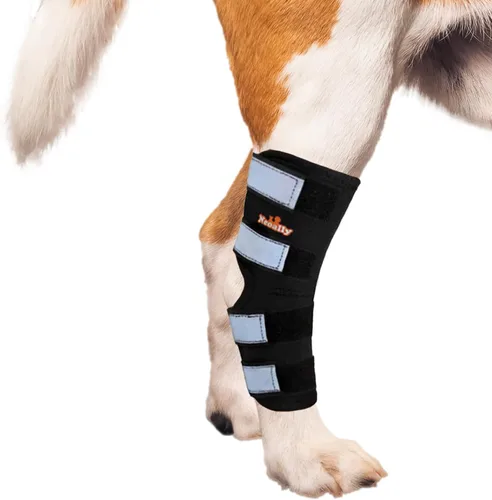 Miniatura 5 de NeoAlly Soporte para pata trasera de perro (una pierna), soporte de pierna canina para pierna trasera, soporte ideal para corvejillo y tobillo