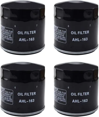 Miniatura 6 de AHL 163 - Filtro de aceite para BMW R850C Euro 850 2000 2001