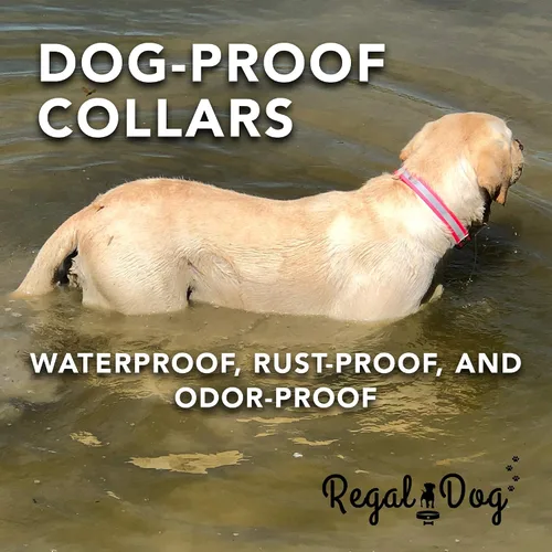 Miniatura 8 de Regal Dog Products Collar de Perro Reflectante Rosa Grande con Placa de Nombre Grabada Personalizada y Anillo Central de Servicio Pesado Collares