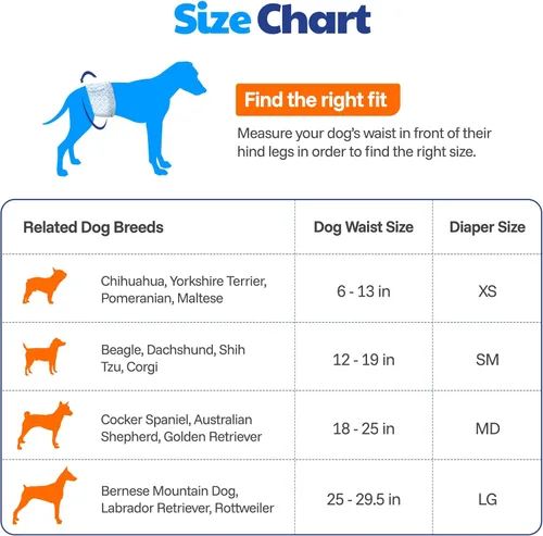 Miniatura 5 de American Kennel Club Fajas desechables para perros machos, pañales con indicador de humedad, tamaño pequeño, 50