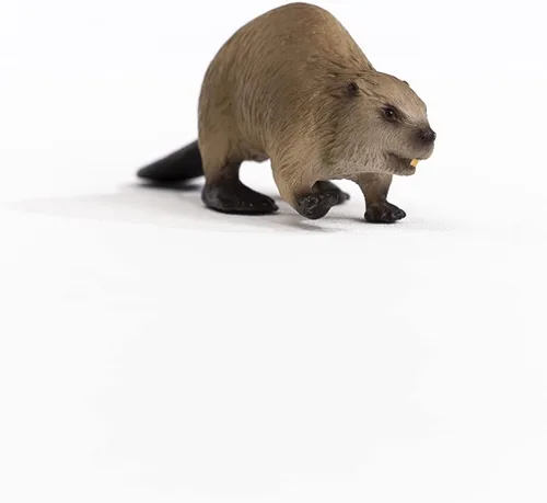 Miniatura 6 de Schleich Wild Life, North American Woodland Juguetes de animales salvajes para niños, figura de juguete de castor, a partir de 3 años