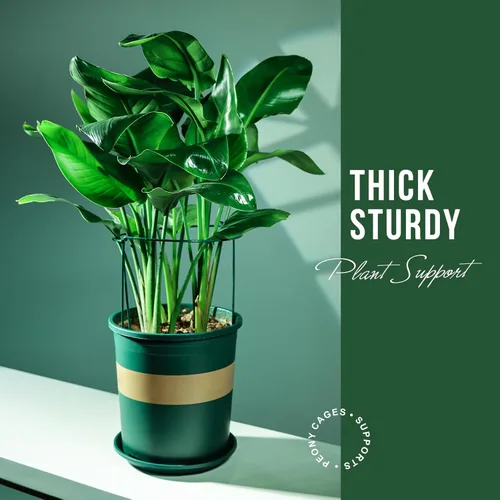 Miniatura 4 de LEOBRO Soporte para Plantas, 8 Jaulas y Soportes de Peonías, Estacas para Plantas de Interior, Plantas al Aire Libre, Soportes para Plantas, Jaula