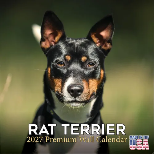 Miniatura 185 de Calendario amarillo 2025 2026 de Labrador Pups – Calendario mensual de pared de raza de perro – 12" x 24" abierto – Papel grueso anti-traspaso