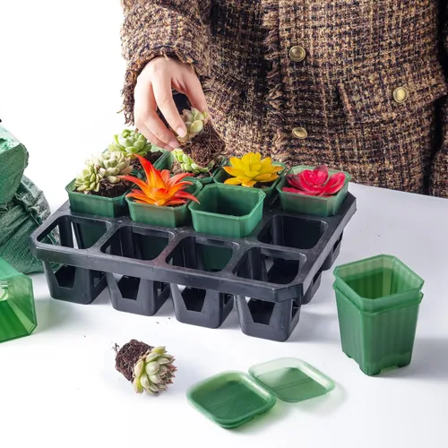 Miniatura 6 de Macetas de vivero transparentes verdes de 3 pulgadas de Foxany, 30 piezas de maceta de plástico grueso, paquete variado de macetas cuadradas