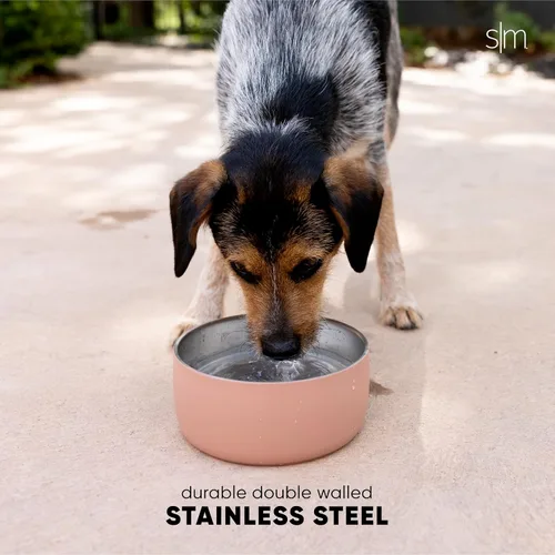 Miniatura 3 de Simple Modern Tazón de Agua de Acero Inoxidable para Mascotas para Perros y Gatos Tazones de Comida de Acero Inoxidable Aislados para Perros