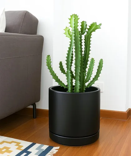 Miniatura 7 de D'vine Dev Maceta de cerámica de 10 pulgadas con orificio de drenaje y platillo, maceta redonda cilíndrica para interiores, color negro, 94-O-E-2