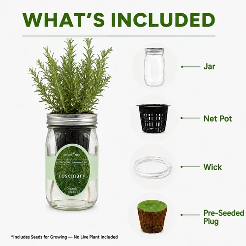 Miniatura 4 de Kit de cultivo hidropónico de hierbas Environet, kit de inicio de jardín de hierbas en tarro de vidrio Mason para interiores, jardín de hierbas