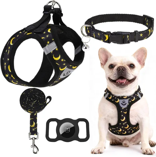 Miniatura 30 de EXPAWLORER Arnés Clásico de Plátanos para Cachorros - Juego de Arnés y Correa para Perros Pequeños - Juego de Collar y Correa para Perros con Azul