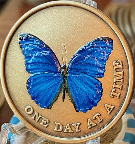 Miniatura 3 de Mariposa de color azul un día a la vez Medallón serenidad oración bronce chip