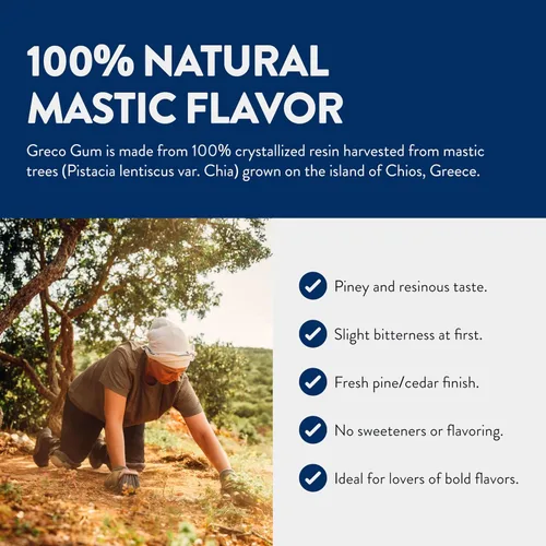 Miniatura 4 de Greco Gum - Gotas de goma de mástique – Piezas pequeñas de chicle duro para entrenamiento de la mandíbula, apoyo digestivo, alivio de la hinchazón