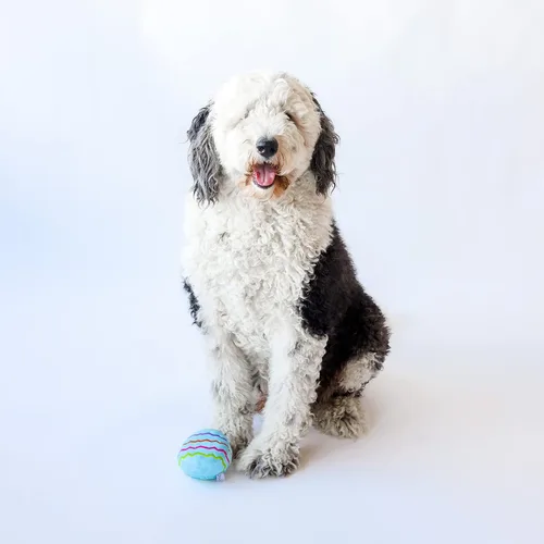 Miniatura 4 de Midlee Juguete de peluche para perro de huevo de Pascua, azul (grande)