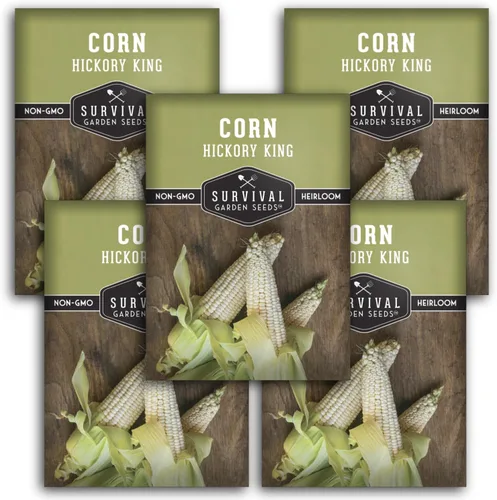 Miniatura 11 de Hickory King Semilla de maíz para plantar, 1 paquete con instrucciones para plantar y cultivar maíz de campo blanco o abolladura en el huerto de tu