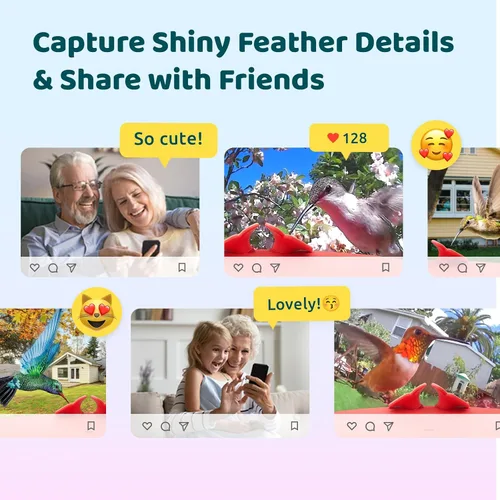 Miniatura 5 de Birdfy Alimentador de Colibríes con Cámara, Grabación Automática de Video de Aves, Notificación Instantánea, Vista en Vivo, Comederos Inteligentes