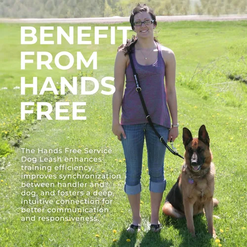 Miniatura 3 de ActiveDogs - Correa manos libres para perro, correa cruzada ajustable de 4 puntos manos libres para movilidad y entrenamiento, cinturón para pasear
