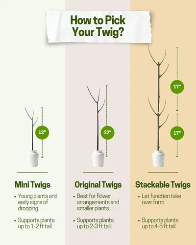 Miniatura 5 de Twigs GA - Estacas de soporte para plantas para uso en interiores y exteriores, alternativa duradera de enrejado para plantas trepadoras